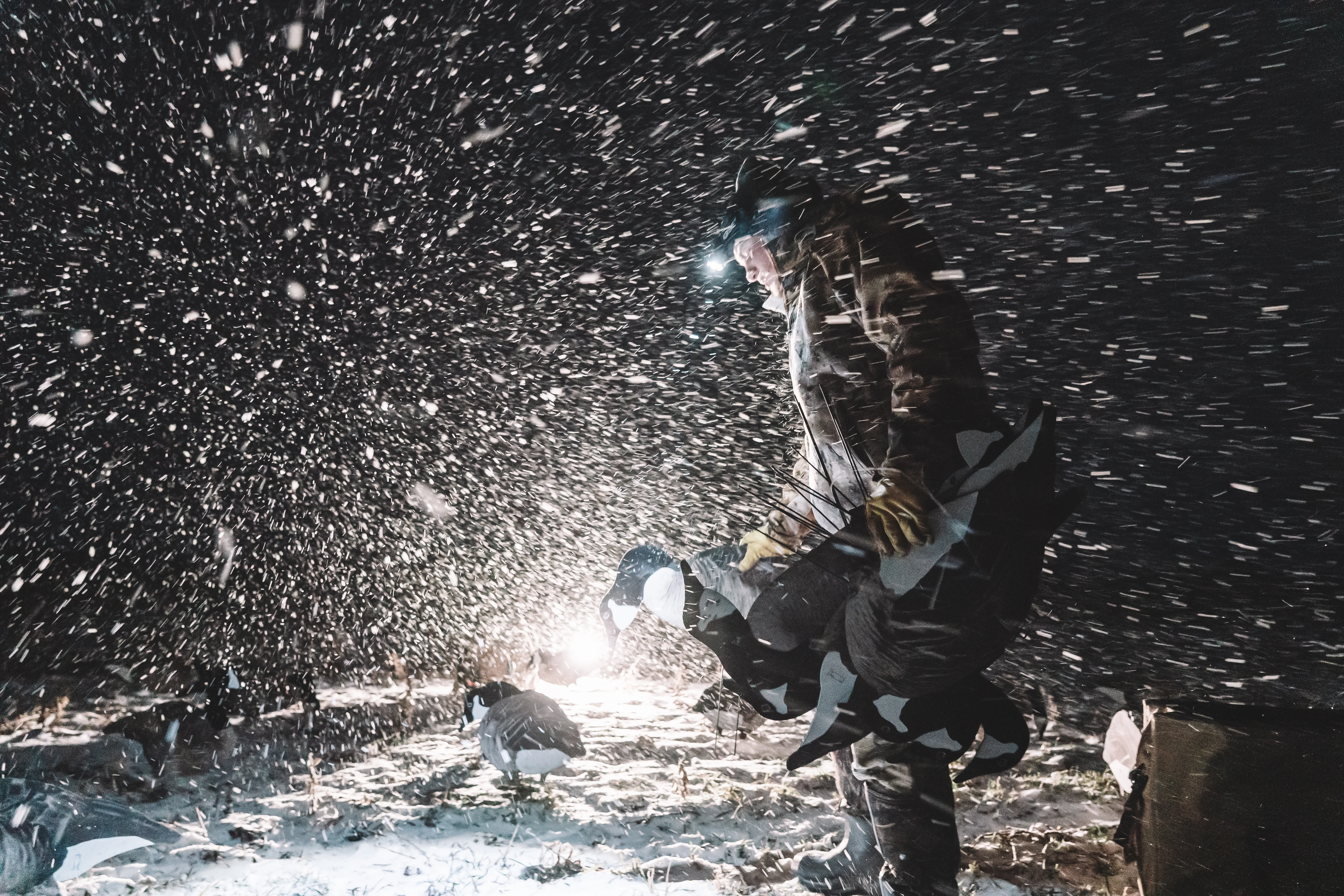 Hunter with a headlamp walking through heavy snowfall at night, decoys in the foreground